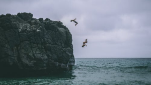 5 Tools to Convert Uncertainty Into Rocket Fuel