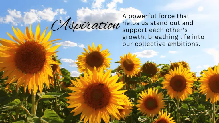 Aspiration-Image-768x432